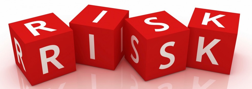 RİSK VE BAĞIMSIZLIK POLİTİKASI